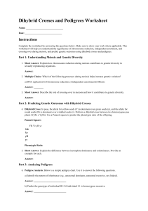 Genetics Worksheet: Dihybrid Crosses & Pedigrees