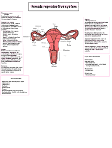 Female Reproductive System Anatomy and Physiology Notes