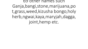 Marijuana Names and Effects: A Glossary