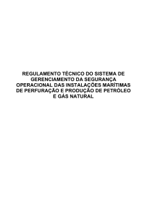Regulamento T&eacute;cnico SGSO/2007: Seguran&ccedil;a Operacional em Plataformas Mar&iacute;timas
