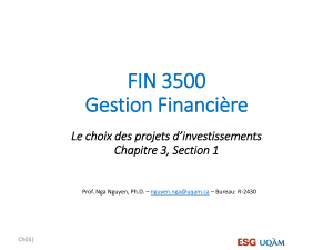 FIN 3500 Gestion Financi&egrave;re : Choix des projets d'investissements
