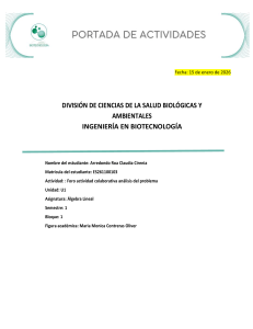 An&aacute;lisis del Problema: &Aacute;lgebra Lineal