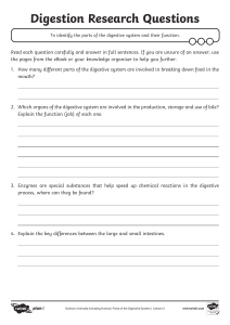 Digestion Research Questions Worksheet