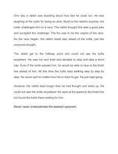 The Tortoise and the Hare Fable