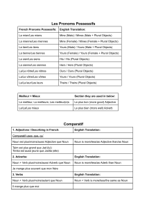 Grammaire fran&ccedil;aise : Pronoms possessifs & Comparatifs