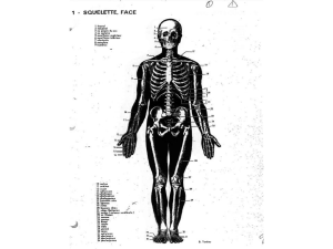 Analyse des contractions musculaires