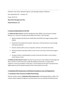 Basic Risk Management Plan for Health Network Inc.