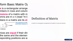 Introduction to Matrices: Definitions and Properties