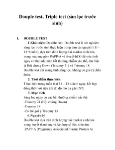 Double & Triple Test: Prenatal Screening Guide