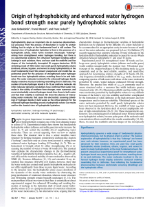 Origin of Hydrophobicity: Enhanced Water H-Bond Strength Near Hydrophobic Solutes