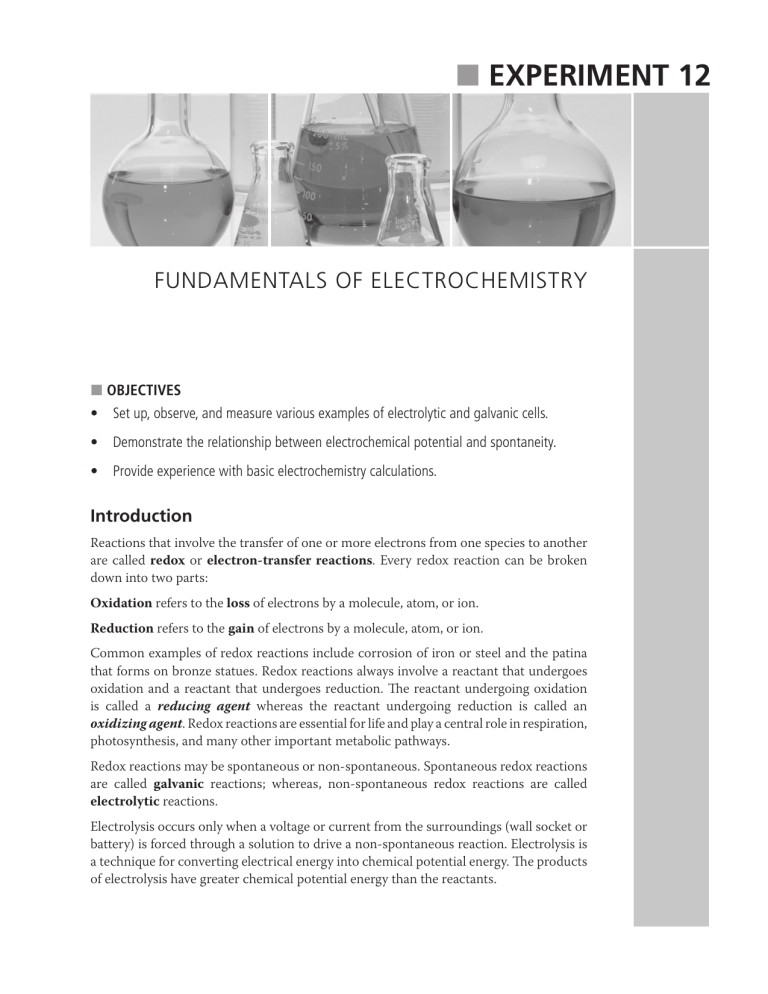 Electrochemistry Lab Manual: Redox Cells