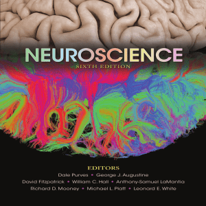 Neuroscience by Dale Purves et al eds z