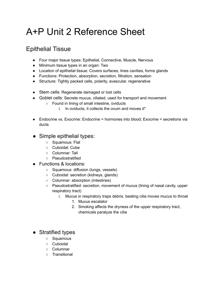 A+P Unit 2 Reference Sheet: Epithelial Tissue