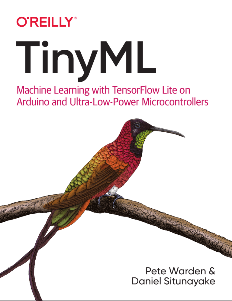 TinyML Machine Learning