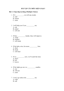 Conditional Sentences Type 1 Worksheet