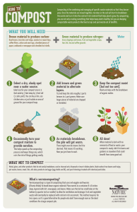 How to Compost: A Guide to Recycling Organic Waste