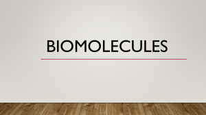 Biomolecules Lecture Notes: Carbohydrates, Proteins, Lipids, Nucleic Acids