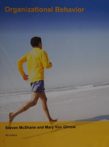 Organizational Behavior Textbook by McShane & Von Glinow 6th Ed
