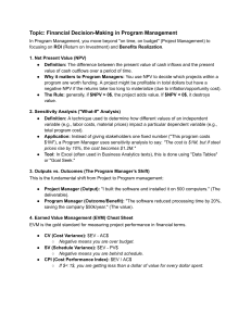 Financial Decision-Making in Program Management