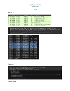 Lab 02: Network Protocol Analysis Assignment