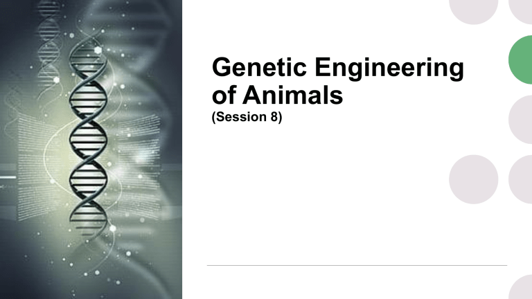 Genetic Engineering of Animals Session 8