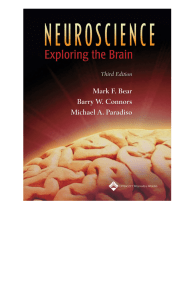 Neuroscience: Exploring the Brain Textbook