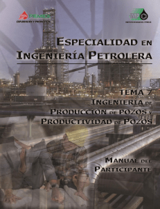 Ingenier&iacute;a de Producci&oacute;n y Productividad de Pozos