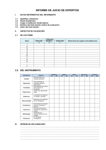 Plantilla de Informe de Juicio de Expertos para Validaci&oacute;n