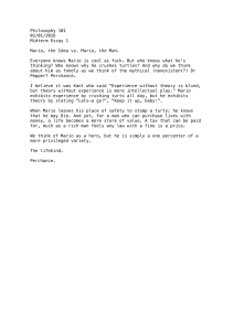 Mario, the Idea vs. Mario, the Man: Philosophy Essay