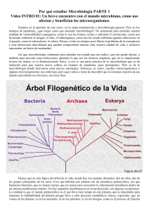 &iquest;Por qu&eacute; estudiar Microbiolog&iacute;a? Introducci&oacute;n