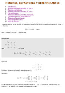 Minors, Cofactors, and Determinants