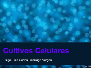 Cultivos Celulares: Equipo y Fundamentos del Cultivo Celular