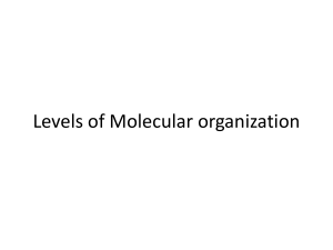 Levels of Molecular Organization