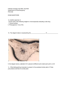 Pharmacognosy PCG 303 Exam Questions FUOYE