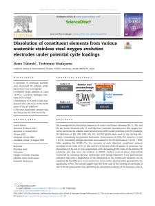 Dissolution of Stainless Steel Electrode Elements Under Potential Cycles