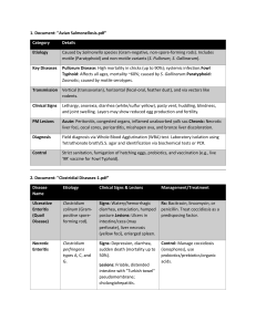 Avian & Rabbit Bacterial Diseases Guide