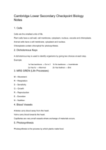 Cambridge Lower Secondary Biology Notes: Cells, Photosynthesis, MRS GREN