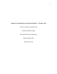Patagonia Strategic Audit: Sustainability & Business