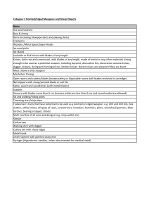 Category 2 Weapons and Sharp Objects List