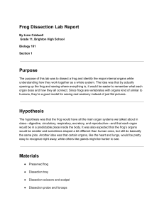 Frog Dissection Lab Report: High School Biology 101