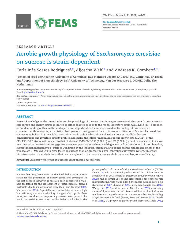 Aerobic Growth Physiology of S. cerevisiae on Sucrose: Strain-Dependent