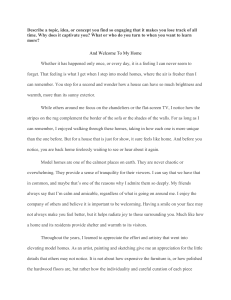 Interior Design Passion Essay
