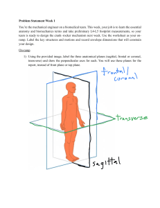Biomedical Engineering Anatomy and Biomechanics Worksheet