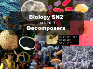Biology SN2 Lecture 9: Decomposers