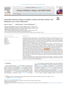 Nucleus Accumbens Volume and Adolescent Substance Use: A 3-Year Study