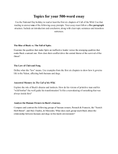 Call of the Wild Essay Assignment: Topics and Prompts