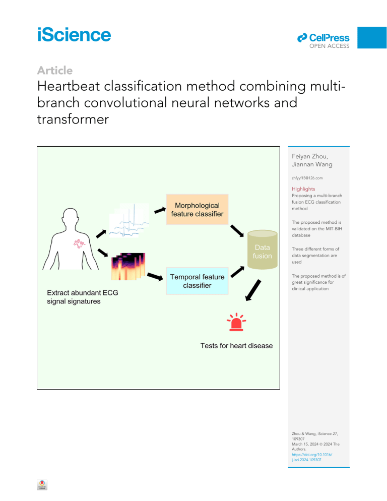 ECG Heartbeat Classification with CNN & Transformer