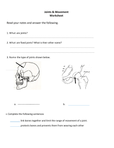 Joints & Movement Worksheet