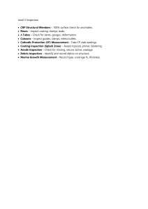 Level 2 Offshore Structure Inspection Checklist