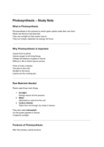 Photosynthesis Study Notes for Students